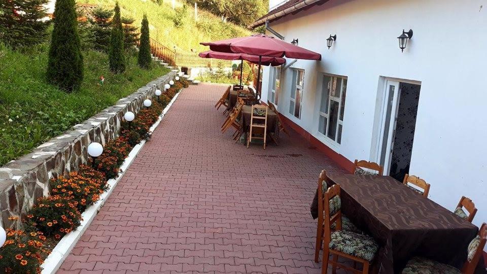 Pensiunea Tinelu Brasov Săcele Eksteriør billede
